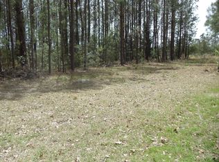 Thomas Holland Rd, Stella, NC 28582