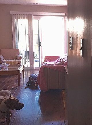 3rd image of 1358 Sierra Dr