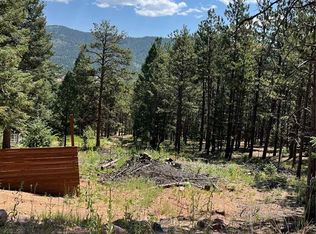 193 Summer Haven Dr, Woodland Park, CO 80863