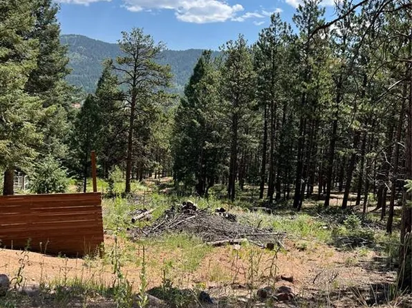 193 Summer Haven Dr, Woodland Park, CO 80863