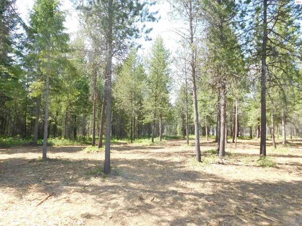 3B Barn Owl Dr, Spirit Lake, ID 83869
