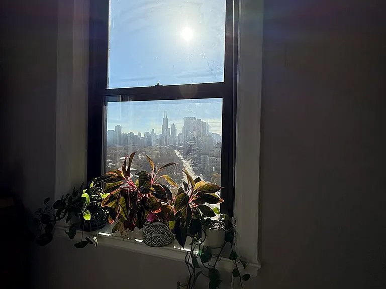 2000 N Lincoln Park W #1302 — Photo 9