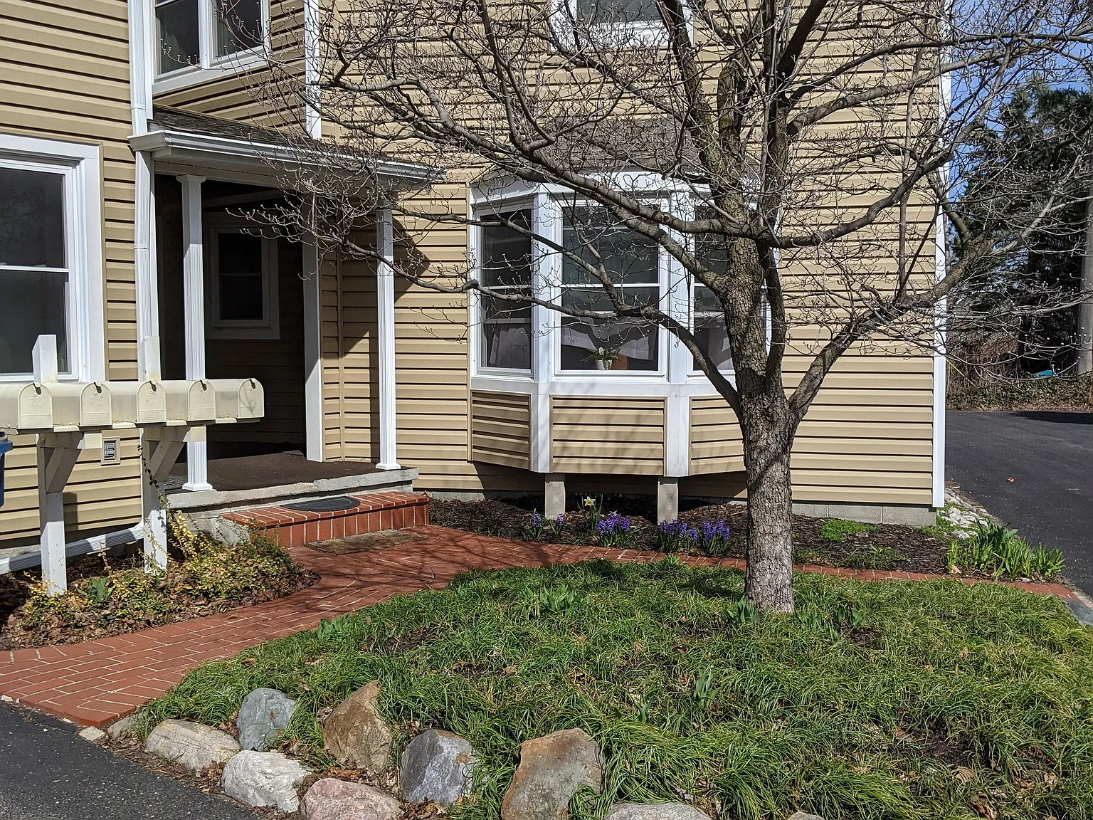 Sidewalk leads to backdoor of apartment