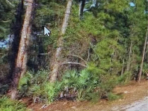 3281 15th AVE SW, NAPLES, FL 34117