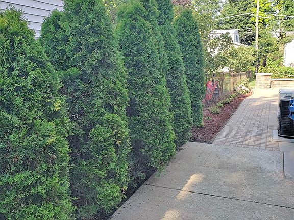 2nd image of 973 S Fairfield Ave