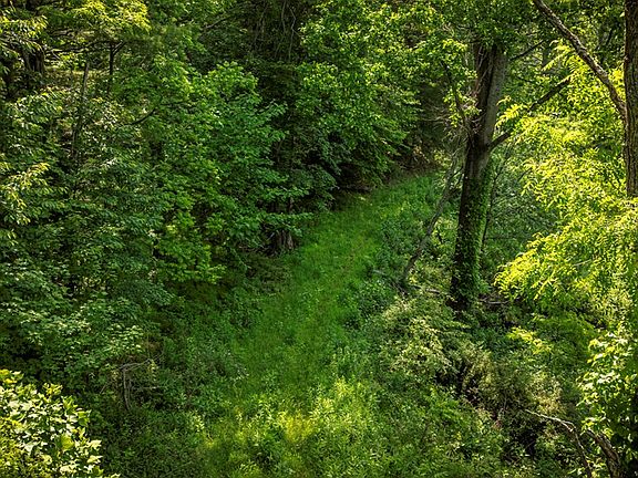 5th image of Old Bridle Creek Dr