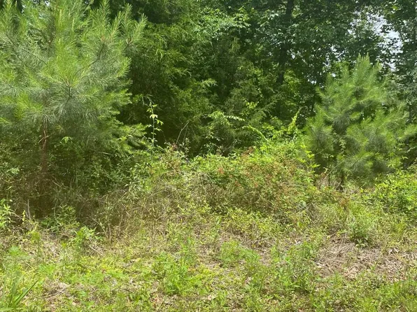 0 Walnut Cv #19, Odenville, AL 35120