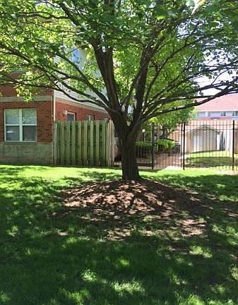 5th image of 427 N Sarah St