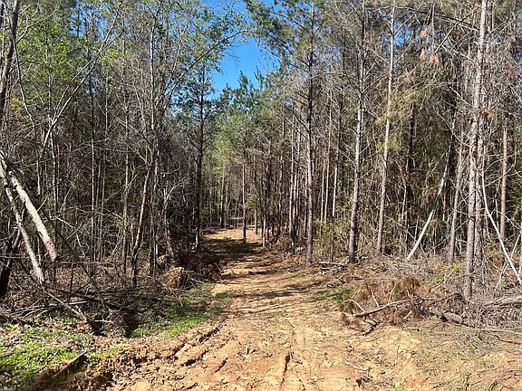 Photo Mar 23 2026 11 27 52 Am