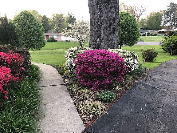 2nd image of 465 Valley Dr