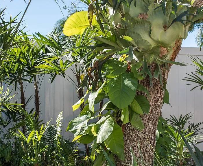 114 Haven Beach Dr — Photo 24