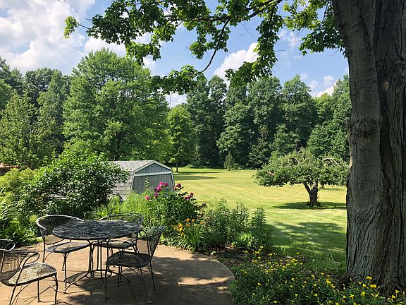 Patio and backyard 