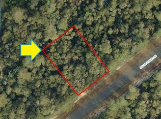 LOT 13 SW 165th Street Rd, Ocala, FL 34473