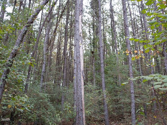 5th image of 0 Old Gansville Rd