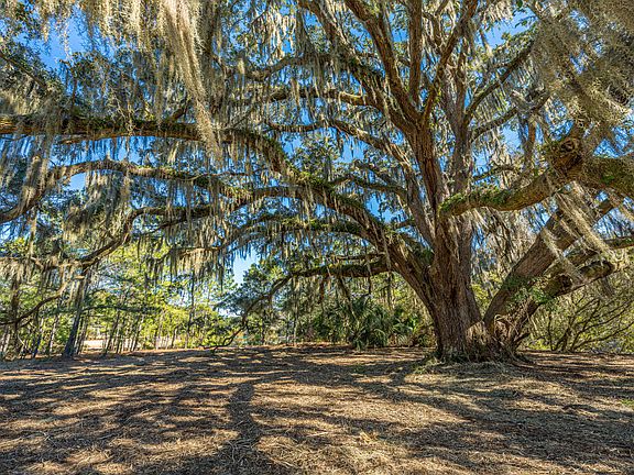 5th image of 4129 Gnarled Oaks Ln