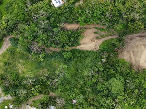 Km 2.0 414 St, Rincon, PR 00677