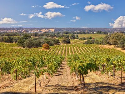 Shenandoah School Rd, Plymouth, CA, 95669