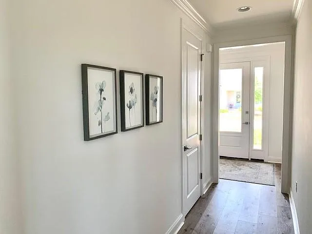 61 Cambium Ct — Photo 3