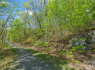 21 Reillys Bluff Rd #1, Barnardsville, NC 28709