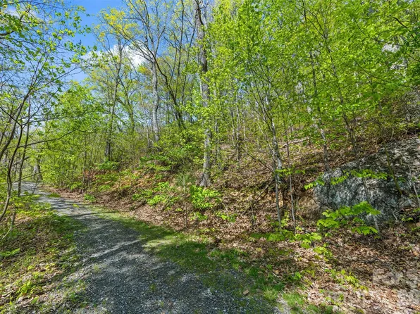 21 Reillys Bluff Rd #1, Barnardsville, NC 28709