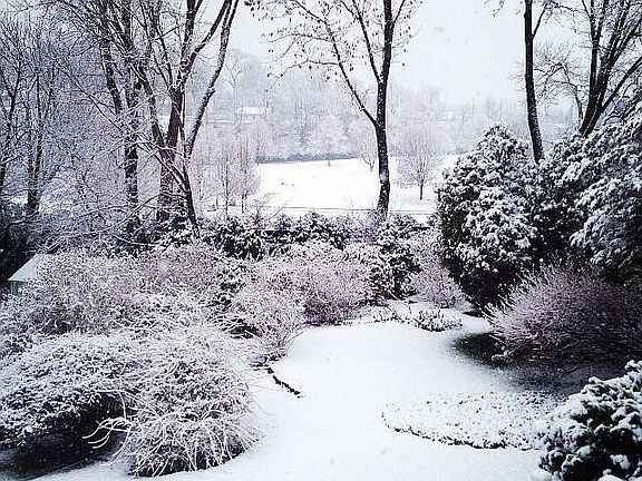 4th image of 61 Essex Ct
