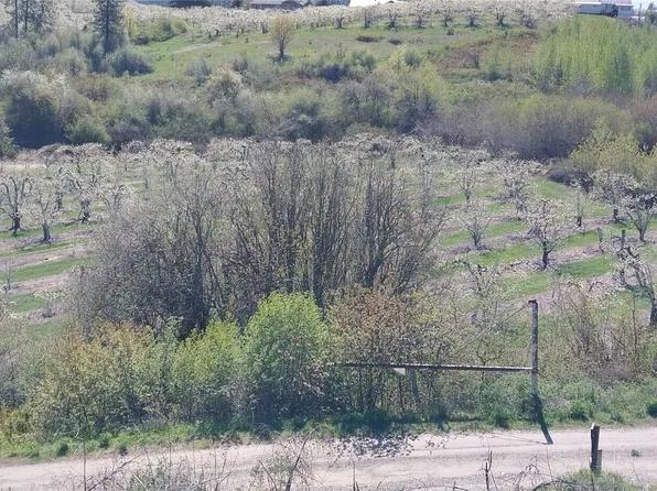 8010 Green Rd, Peshastin, WA 98847