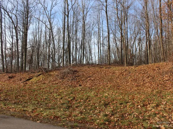 0 Lindsey Rd Unit 13, Jackson, MI 49201