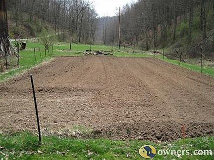 Garden area with electric fence