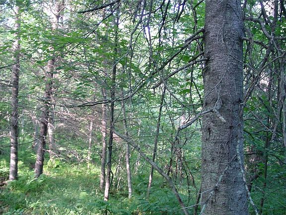5th image of 40 Acres Fedyn Road