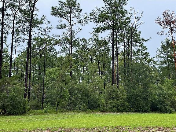 5th image of VIRGINIA (PAPER) AVENUE LOT 23-28