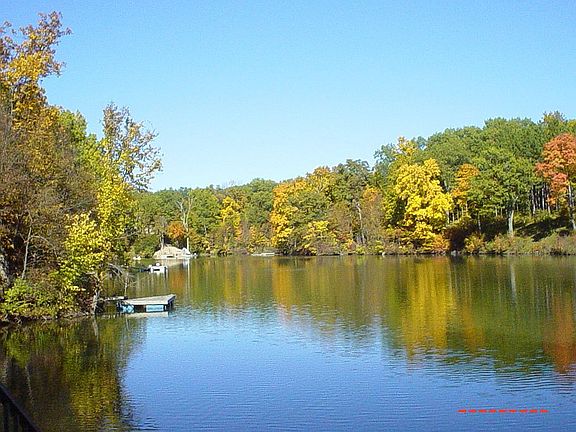 Fall view