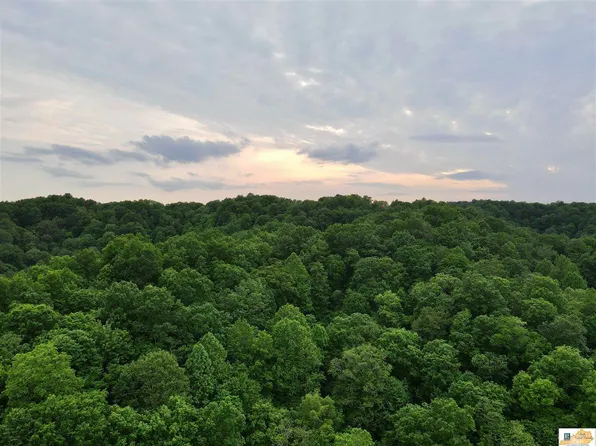 54AC Gray Gap Rd, Burkesville, KY 42717