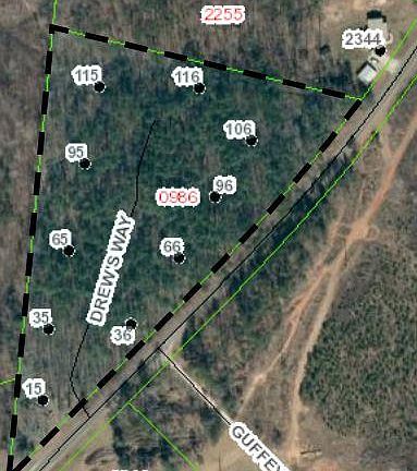 2nd image of 15 Vein Mountain Rd #1