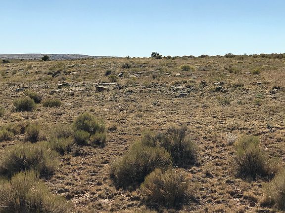 5th image of 10408 High Butte Dr