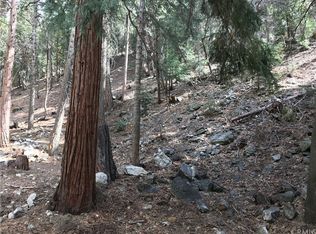 9437 Glen Dr, Forest Falls, CA 92339