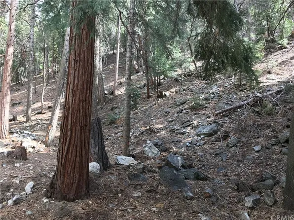 9437 Glen Dr, Forest Falls, CA 92339
