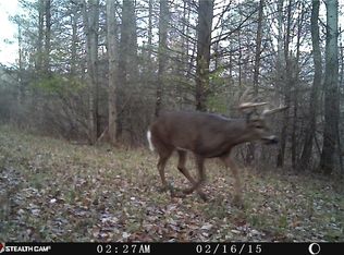 5151 Landis Rd #2, Hornell, NY 14843