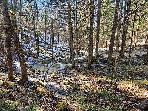 4th image of Seaberg Ln