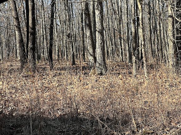 4th image of LOT 1 County Road 113