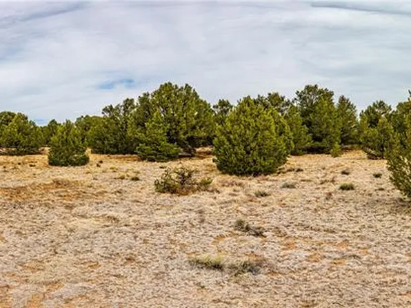 1888 7th Trl, Cotopaxi, CO 81223