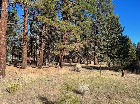 Mina Bird Dr Lot 9, Bonanza, OR 97623