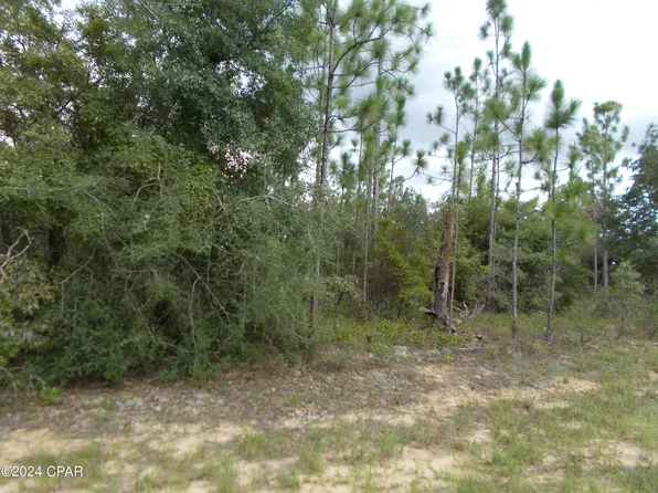 6 New Moon Dr, Chipley, FL 32428