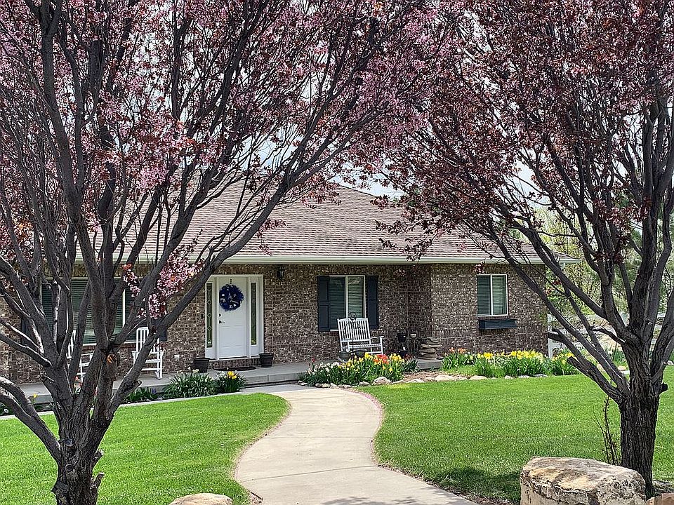 Charming Ranch with tulips e