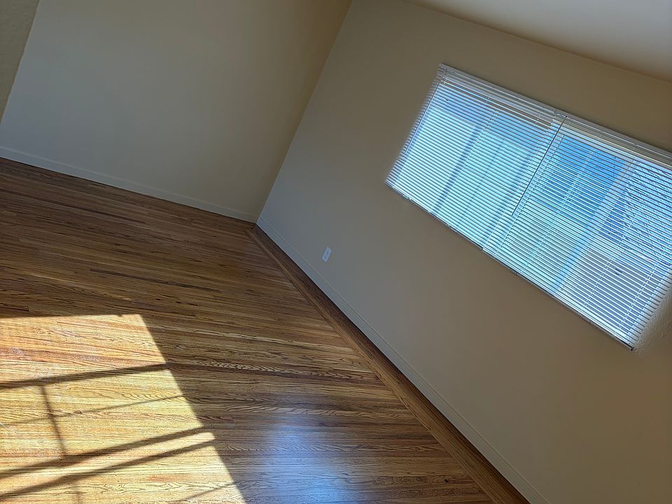 Large light filled living room