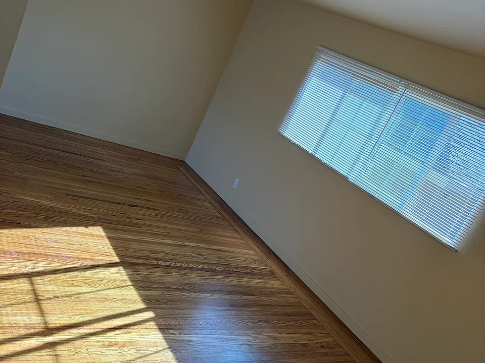 Large light filled living room