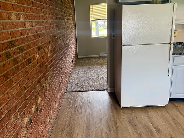 203 Rosemarie Dr — Photo 3