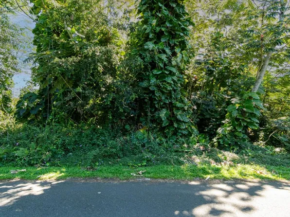 Oio St Lot 8, Pahoa, HI 96778