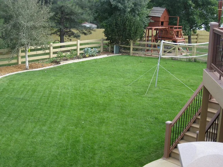 Partial view of backyard - South side
