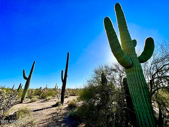 3rd image of 0 E Delgado Way 5 Acres -- #-