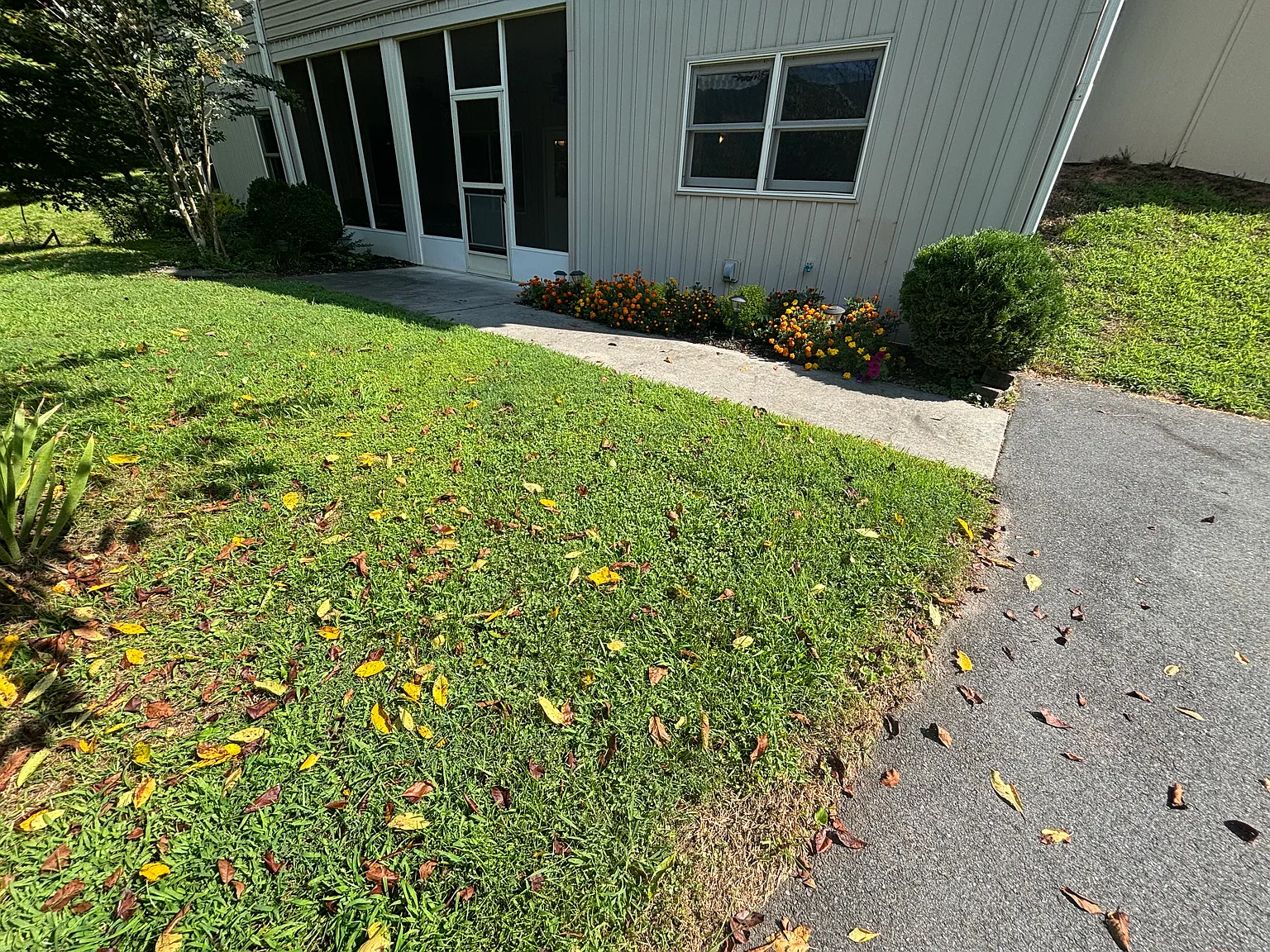 184 Kimsey Ln — Photo 3